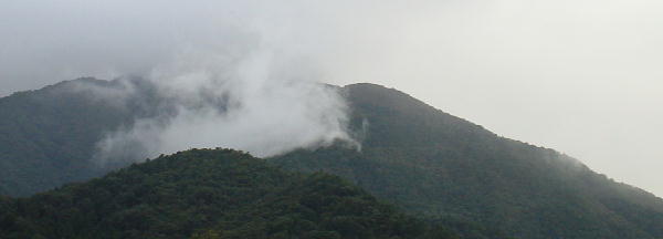 朝靄に覆われ墨絵のような山